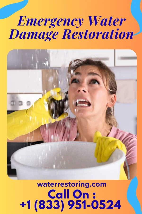 Emergency Water Damage Restoration in Myrtle Point, OR